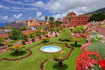 Belleza floral del Jardín Botánico en la Orotava